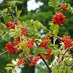 Biohof Schwanser Agroturismo *
