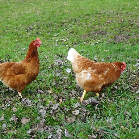 Biohof Schwanser Farmház *