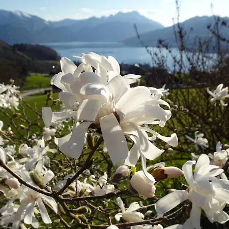 Biohof Schwanser בית חווה *