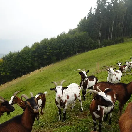 Farmház Biohof Schwanser Steinbach am Attersee