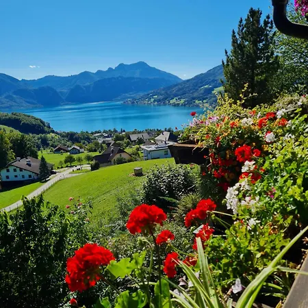 팜스테이 Biohof Schwanser