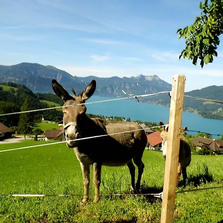 Farmház Biohof Schwanser Steinbach am Attersee