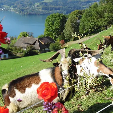 Biohof Schwanser Farmház *