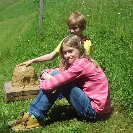 Farmház Biohof Schwanser Steinbach am Attersee