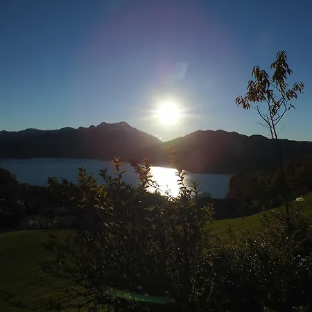 Biohof Schwanser Steinbach am Attersee