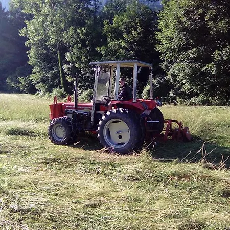 Biohof Schwanser Steinbach am Attersee