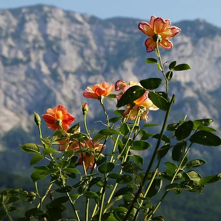 Farmház Biohof Schwanser Steinbach am Attersee