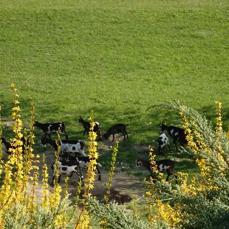 Séjour à la ferme Biohof Schwanser *