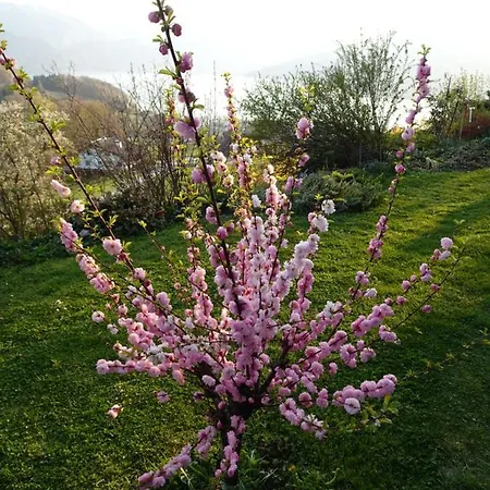 Biohof Schwanser בית חווה *