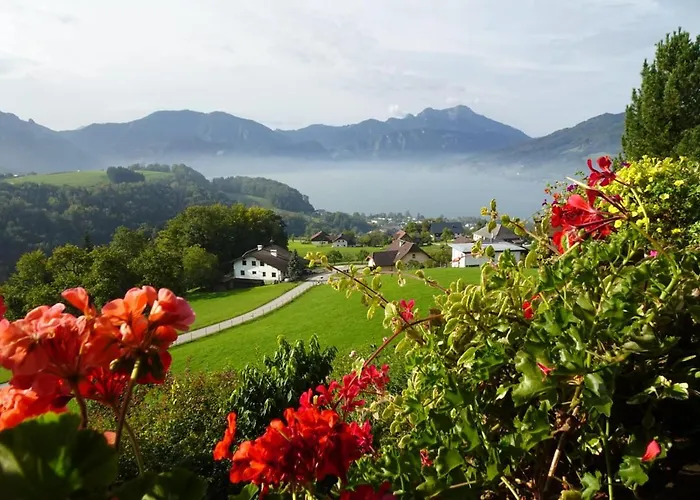 Biohof Schwanser * Steinbach am Attersee