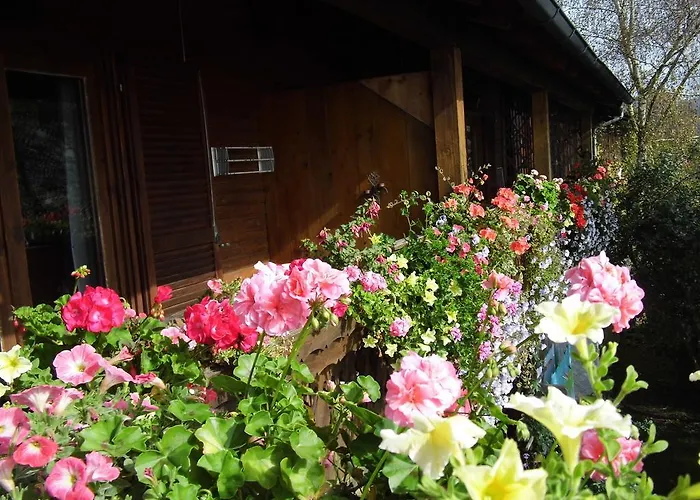 Farm stay Biohof Schwanser