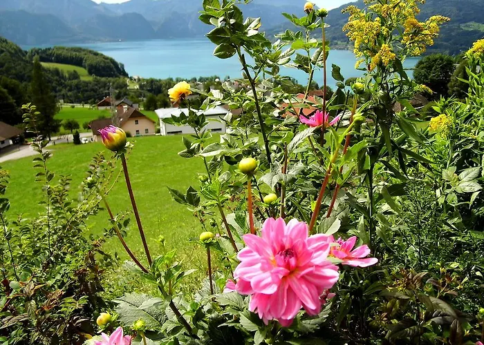 Biohof Schwanser Steinbach am Attersee
