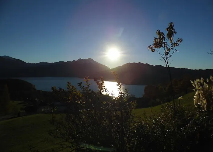 Biohof Schwanser 스테인바크 암 아터시