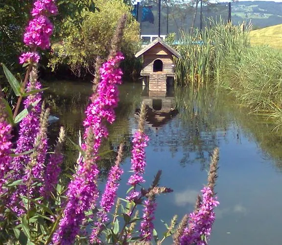 Biohof Schwanser Steinbach am Attersee