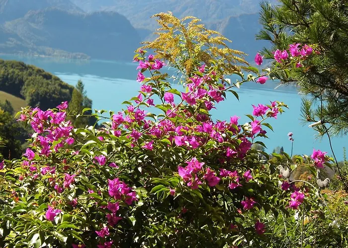 Biohof Schwanser * Steinbach am Attersee