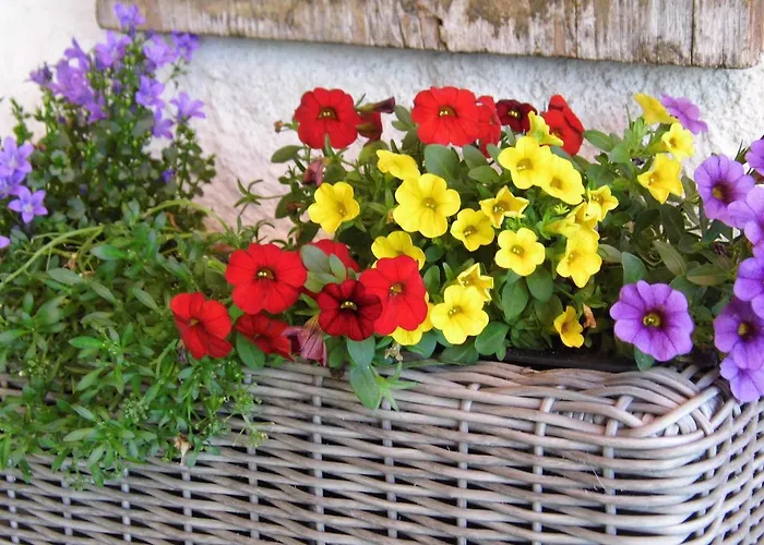 Biohof Schwanser Farm stay Steinbach am Attersee