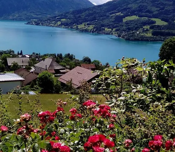 Biohof Schwanser * Steinbach am Attersee