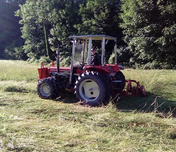 Biohof Schwanser Steinbach am Attersee