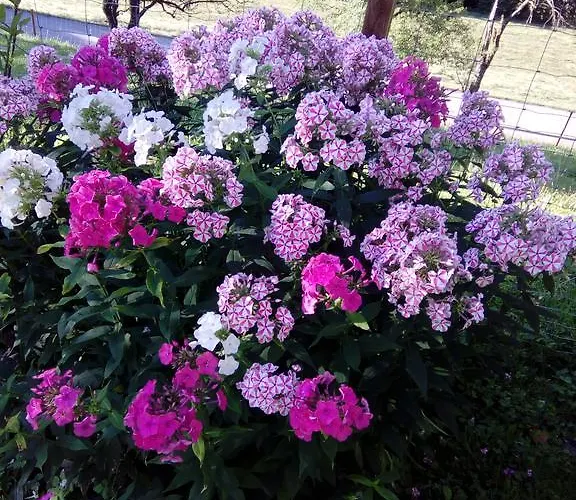 Farm stay Biohof Schwanser