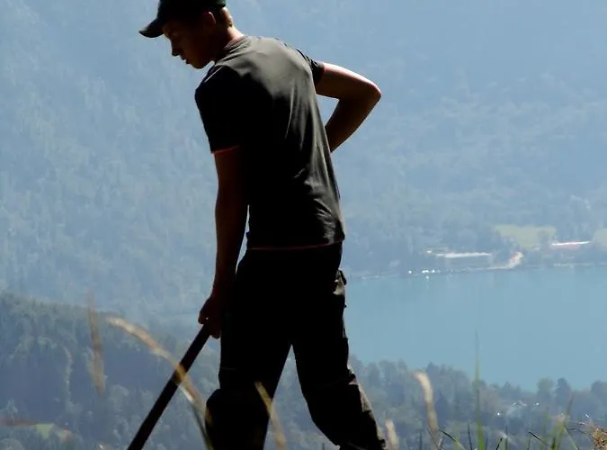 Biohof Schwanser 팜스테이 *