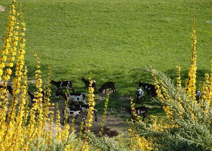 Farm stay Biohof Schwanser *