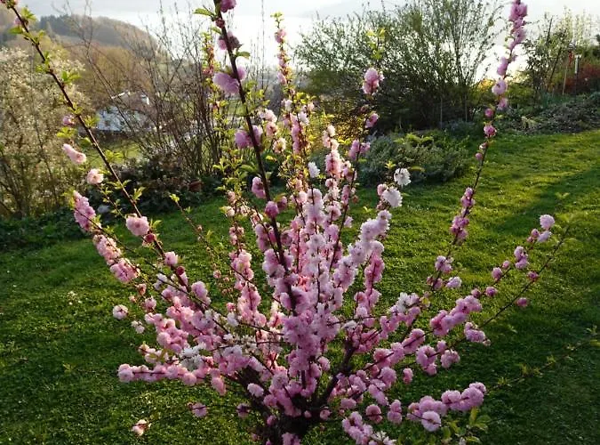 Biohof Schwanser Farm stay *