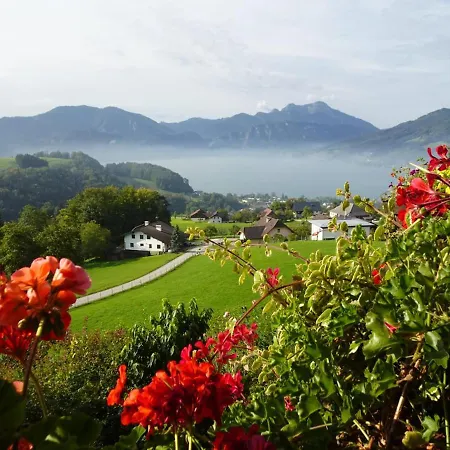 Biohof Schwanser * Steinbach am Attersee
