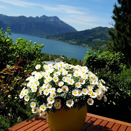 Biohof Schwanser Steinbach am Attersee