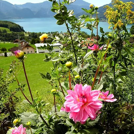 Biohof Schwanser Steinbach am Attersee