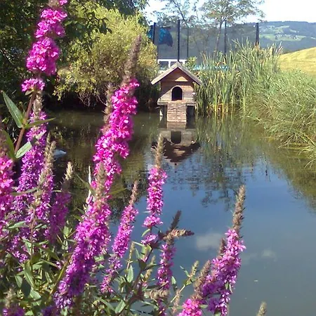 Biohof Schwanser Steinbach am Attersee