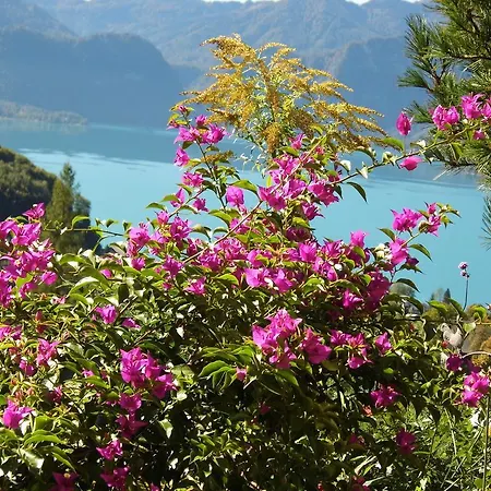 Biohof Schwanser * Steinbach am Attersee