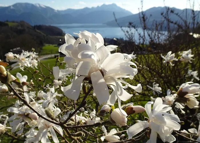 Biohof Schwanser בית חווה *