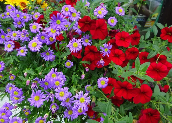 Biohof Schwanser בית חווה שטיינבאך אם אטרזי