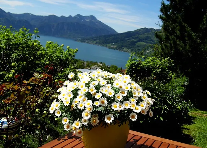 Biohof Schwanser שטיינבאך אם אטרזי