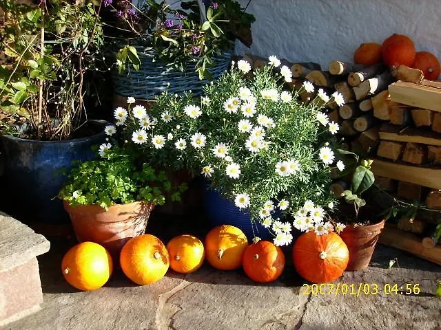 Biohof Schwanser שטיינבאך אם אטרזי