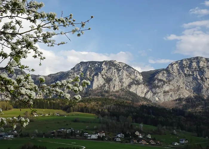 Biohof Schwanser בית חווה